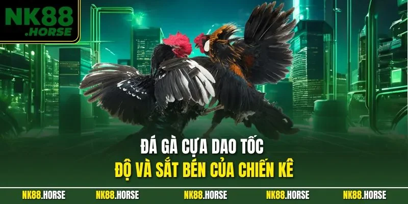 Đá gà cựa dao tốc độ và sắt bén của chiến kê