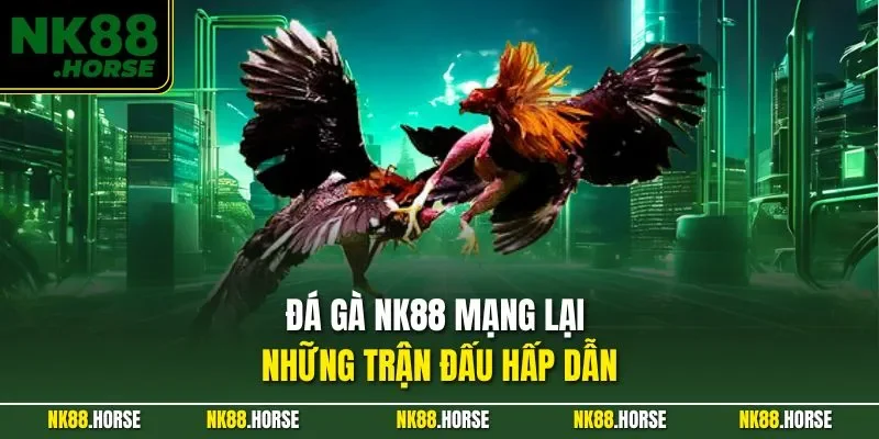 Đá gà NK88 mạng lại những trận đấu hấp dẫn