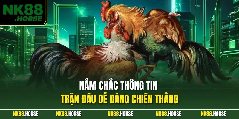 Nắm chắc thông tin trận đấu dễ dàng chiến thắng
