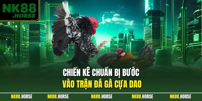 Chiến kê chuẩn bị bước vào trận đá gà cựa dao