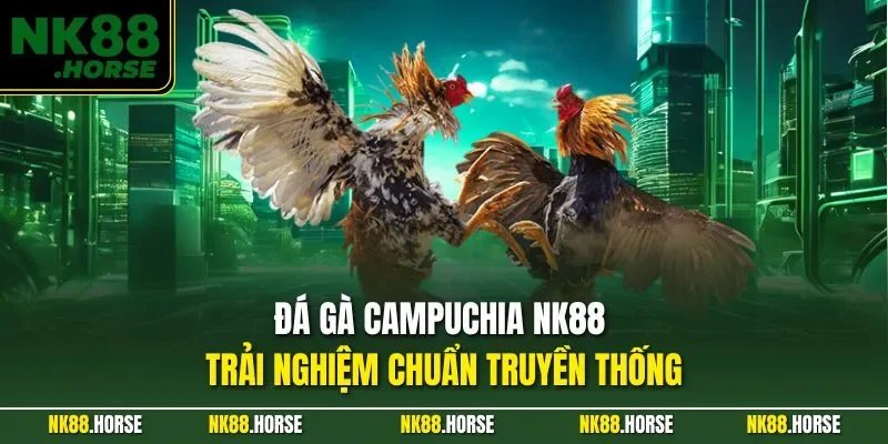 Đá Gà Campuchia NK88 – Trải Nghiệm Chuẩn Truyền Thống