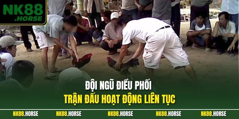 Đội ngũ điều phối trận đấu hoạt động liên tục
